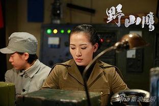 《野山鹰》在线观看,探寻自然与生命的壮丽交响